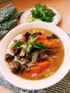 Bowl of Hu Tieu Bo Kho: A delicious Vietnamese beef stew served with Hu Tieu noodles, carrots, and onions.