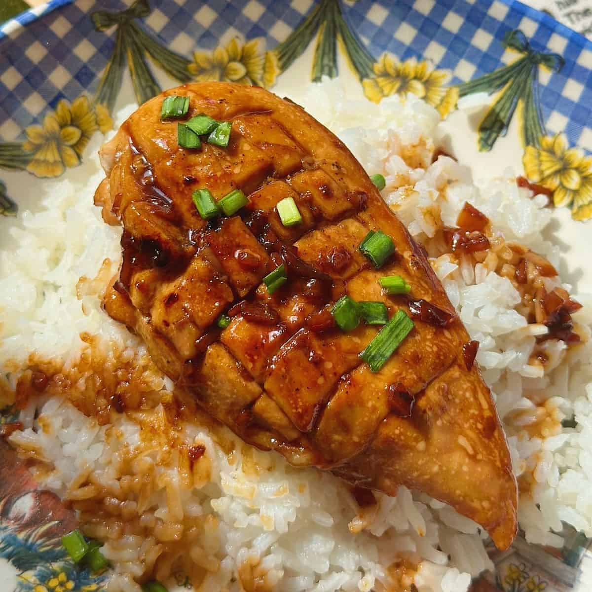 Savory soy garlic chicken breast served atop a bed of fluffy steamed rice, creating a harmonious blend of flavors and textures.