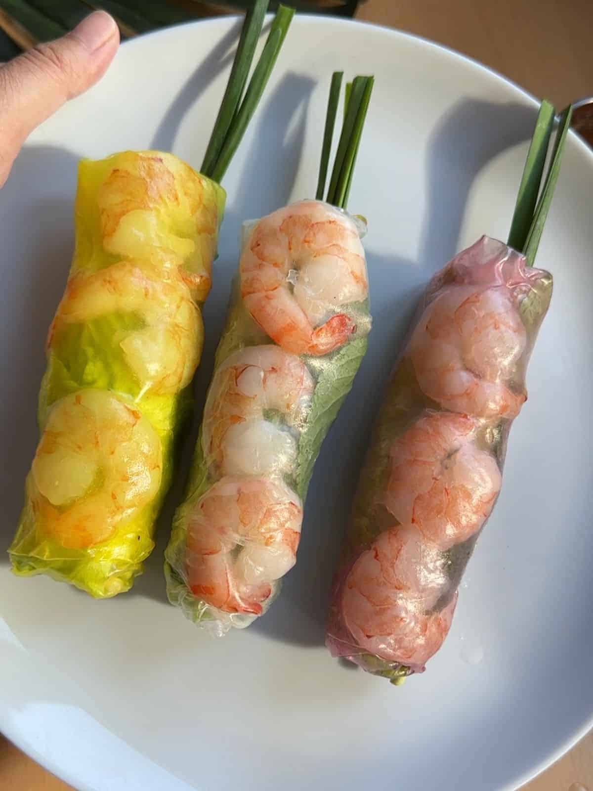 3 fresh spring rolls on the plate.