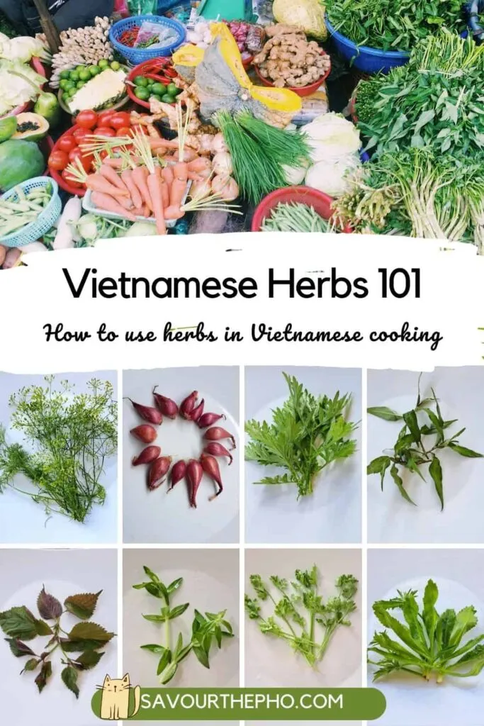 About me How to use Vietnamese herbs in Vietnamese cuisine