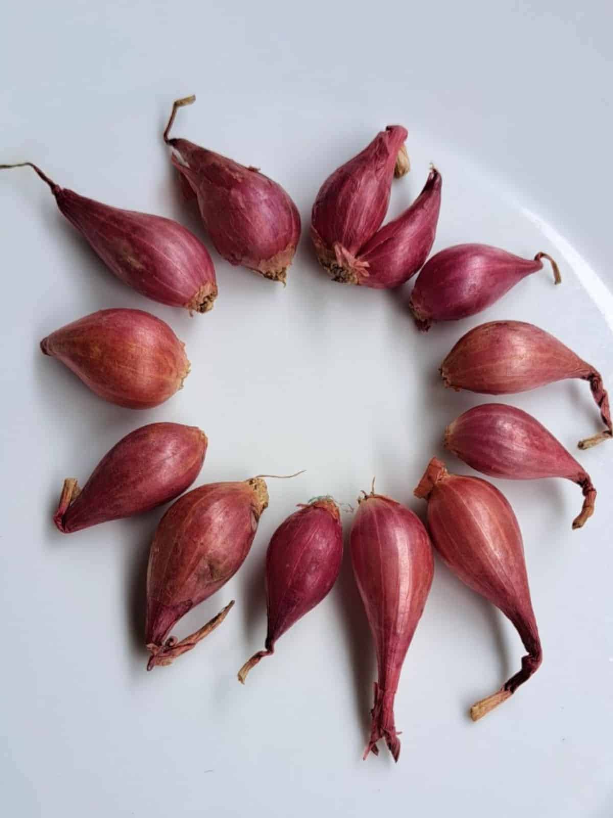 Hành Tím (Shallots)
