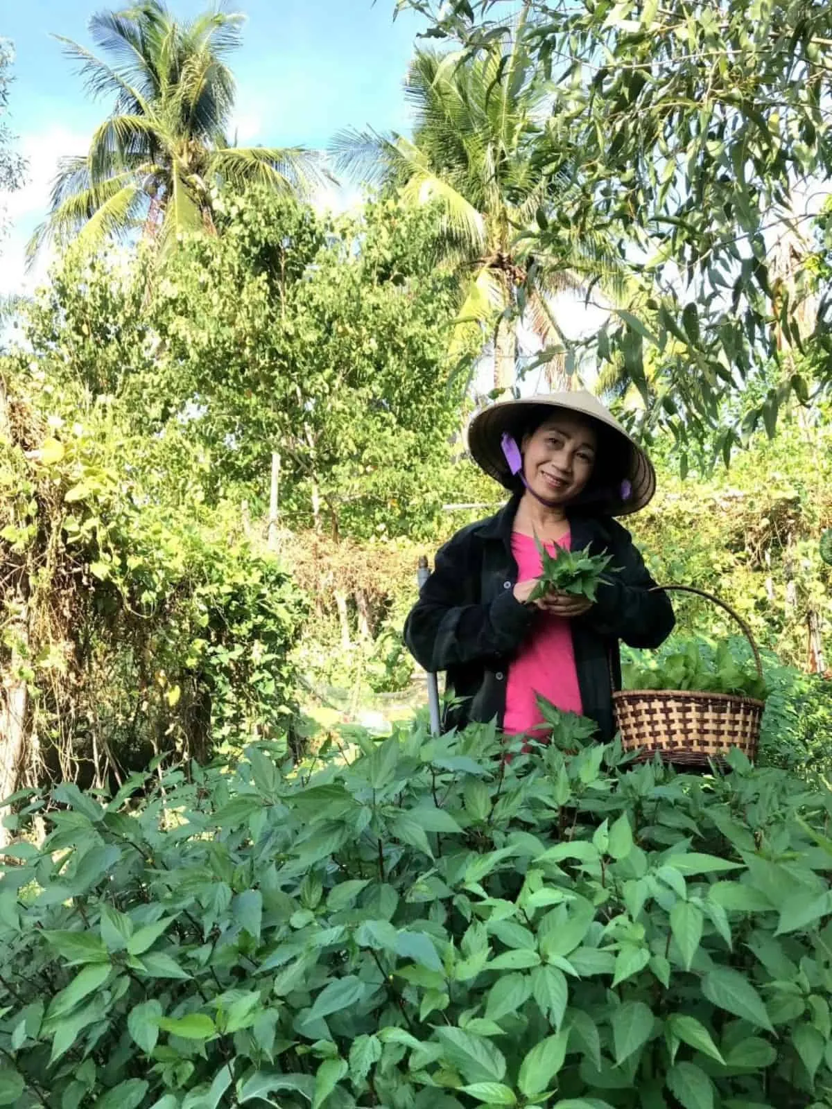 A Visual Guide to 30 Vietnamese Herbs (Rau Thơm) mom in garden