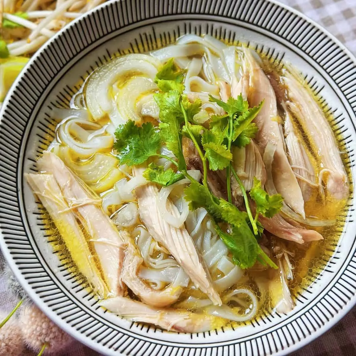 12 Tasty Vietnamese Chicken Recipes You Can Make At Home a bowl of Pho Ga (Chicken Pho)