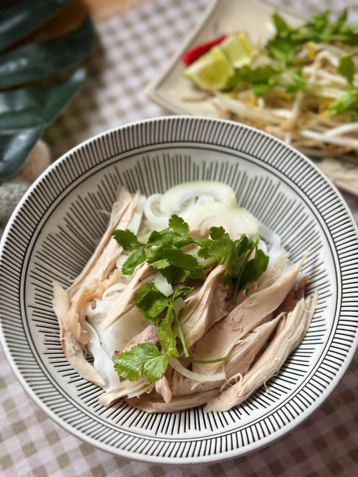 Vietnamesische Chicken Pho – Authentisch im Instant Pot a bowl of pho noodles, shredded chicken and cilantro