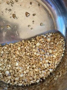 Garlic Oil