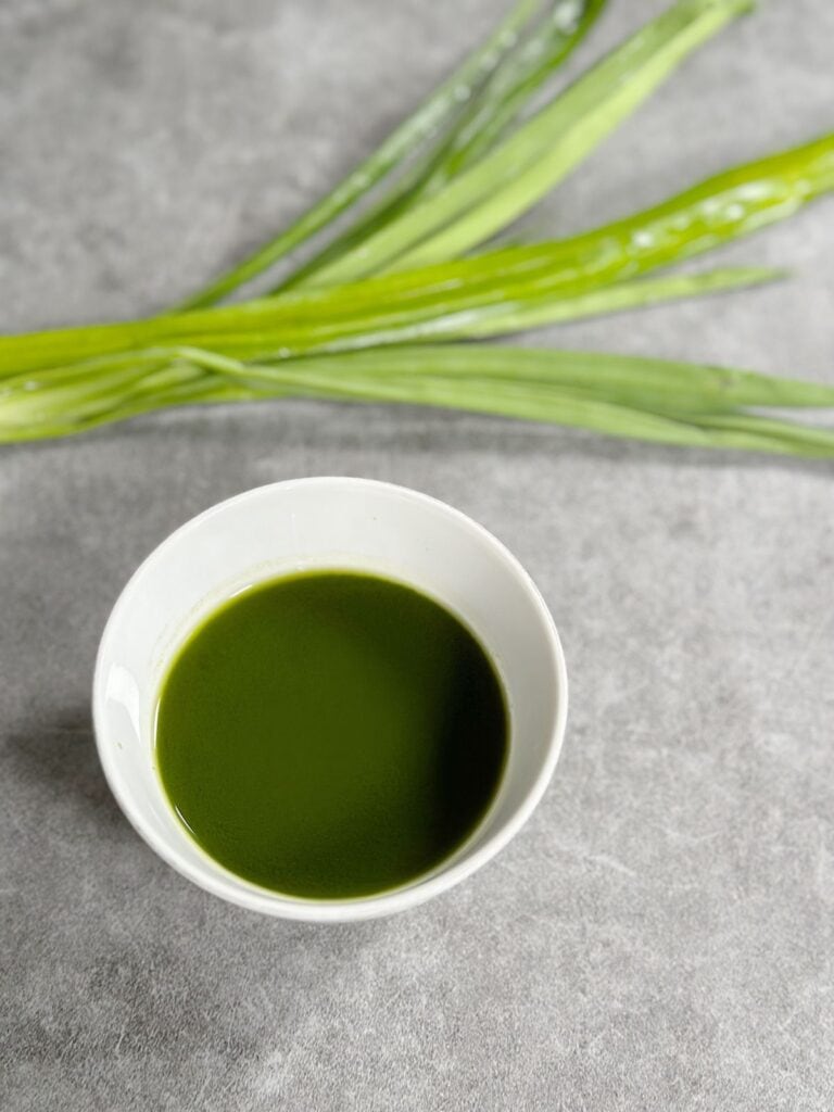 Homemade pandan extract (pandan paste).