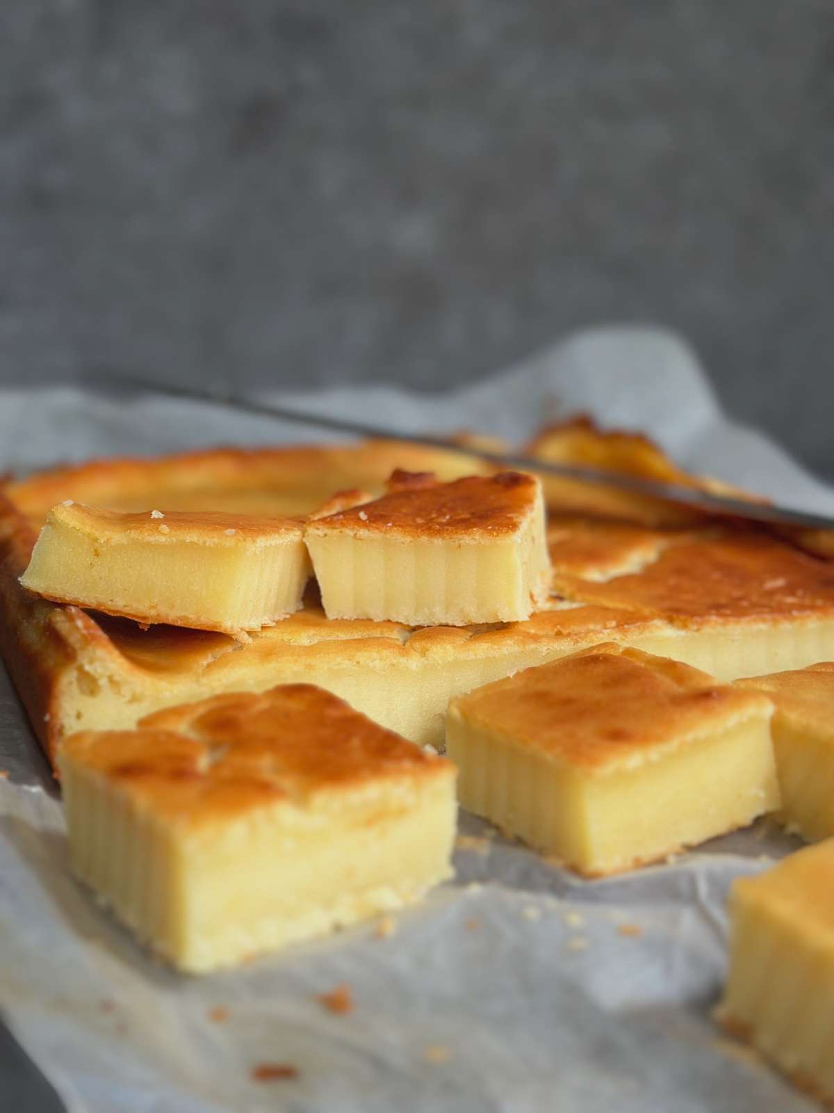 Vietnamese Mung Bean Cake (Bánh Đậu Xanh Nướng) Vietnamese Mung Bean Cake (Banh Dau Xanh Nuong)