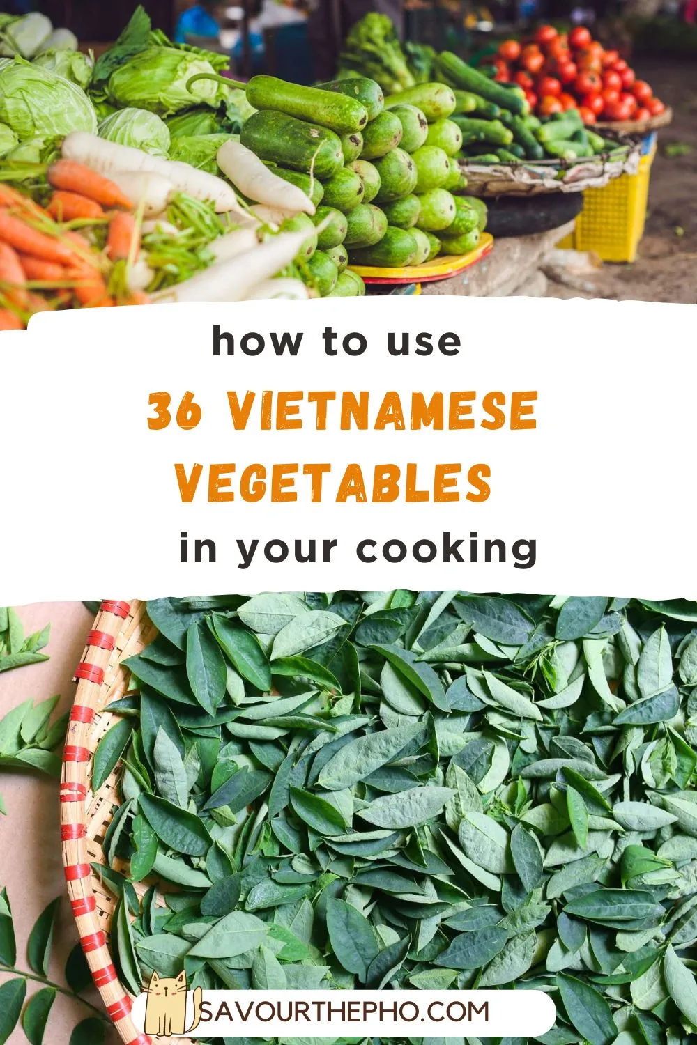 A Visual Guide to 36 Varieties of Vietnamese Vegetables Vietnamese Vegetables (1)