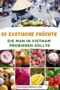 Vietnamesische Früchte (1)
