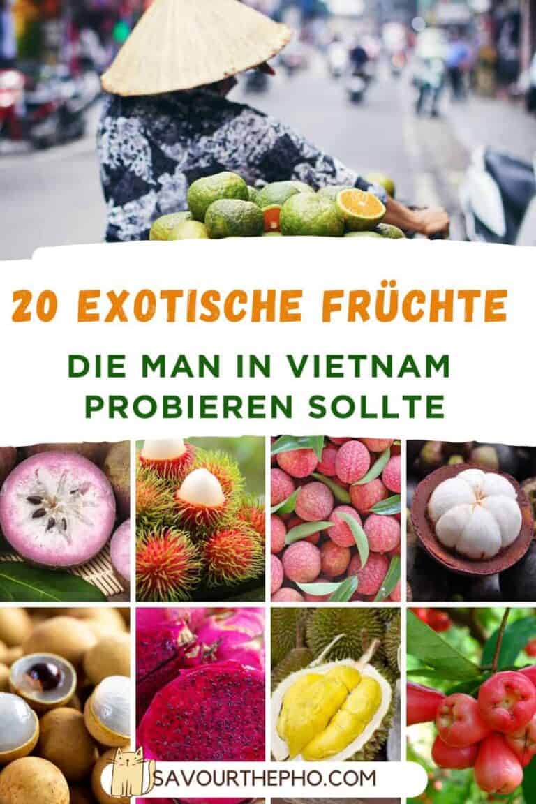 Vietnamesische Früchte (1)
