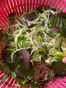 Veggies for Bún Bò Huế.