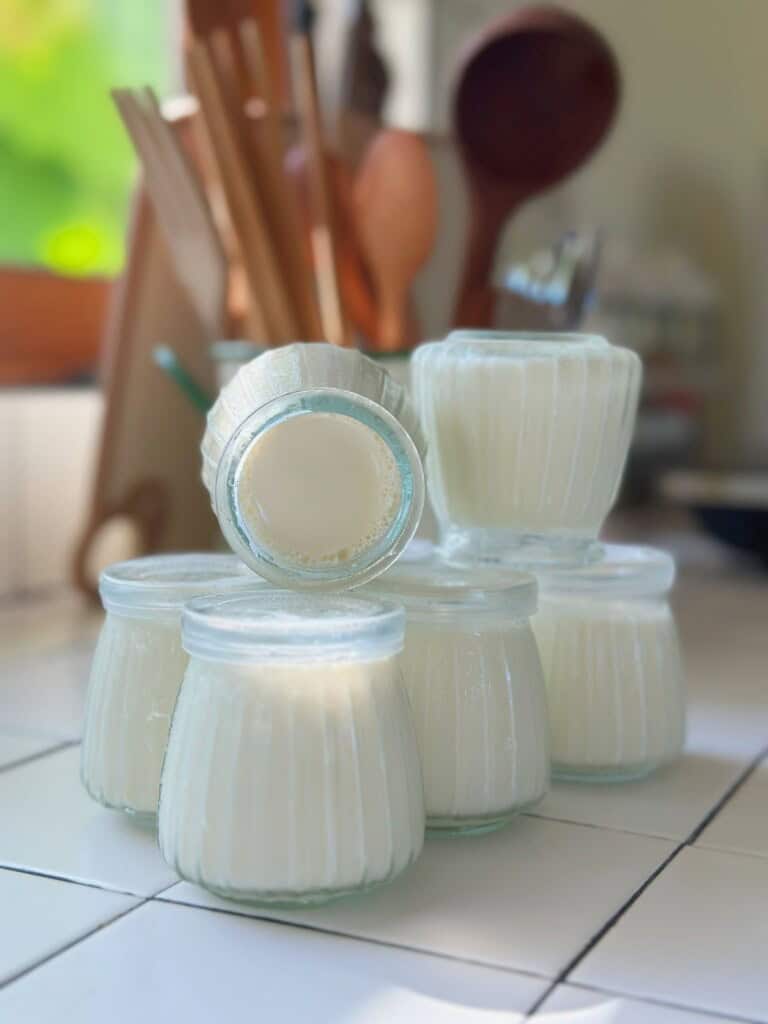 Vietnamese yogurt (Sữa Chua, Da Ua)