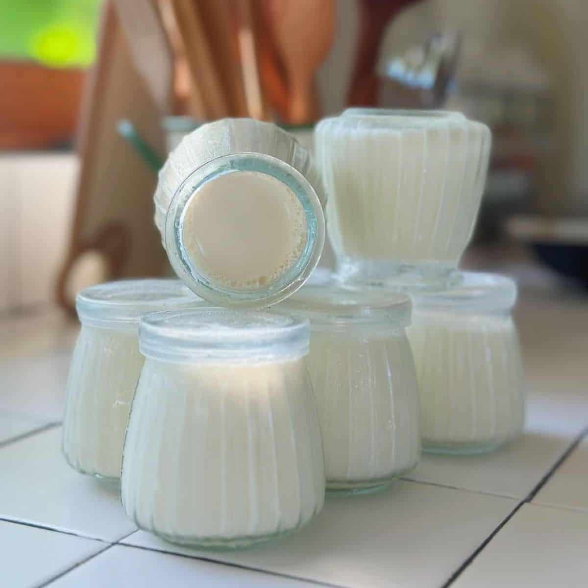 Vietnamese yogurt (Sữa Chua, Da Ua)