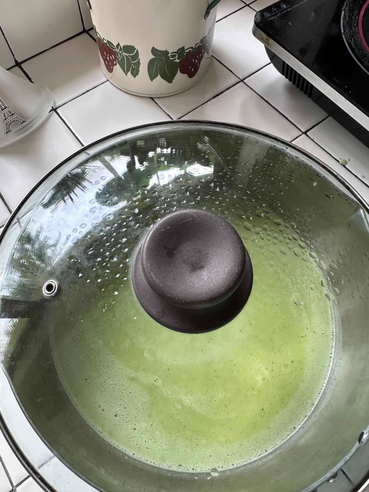 Vietnamesischer Pandan-Wabenkuchen (Bánh Bò Nướng) Allow the batter to ferment.