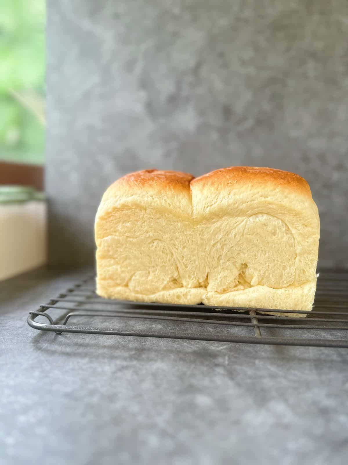 Shokupan: Japanese Milk Bread (with Yudane) Hokkaido Milky Bread with Yudane