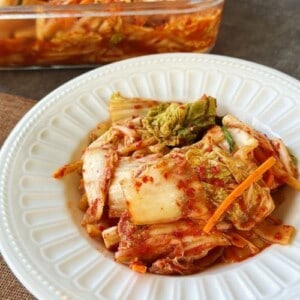 Kimchi icon