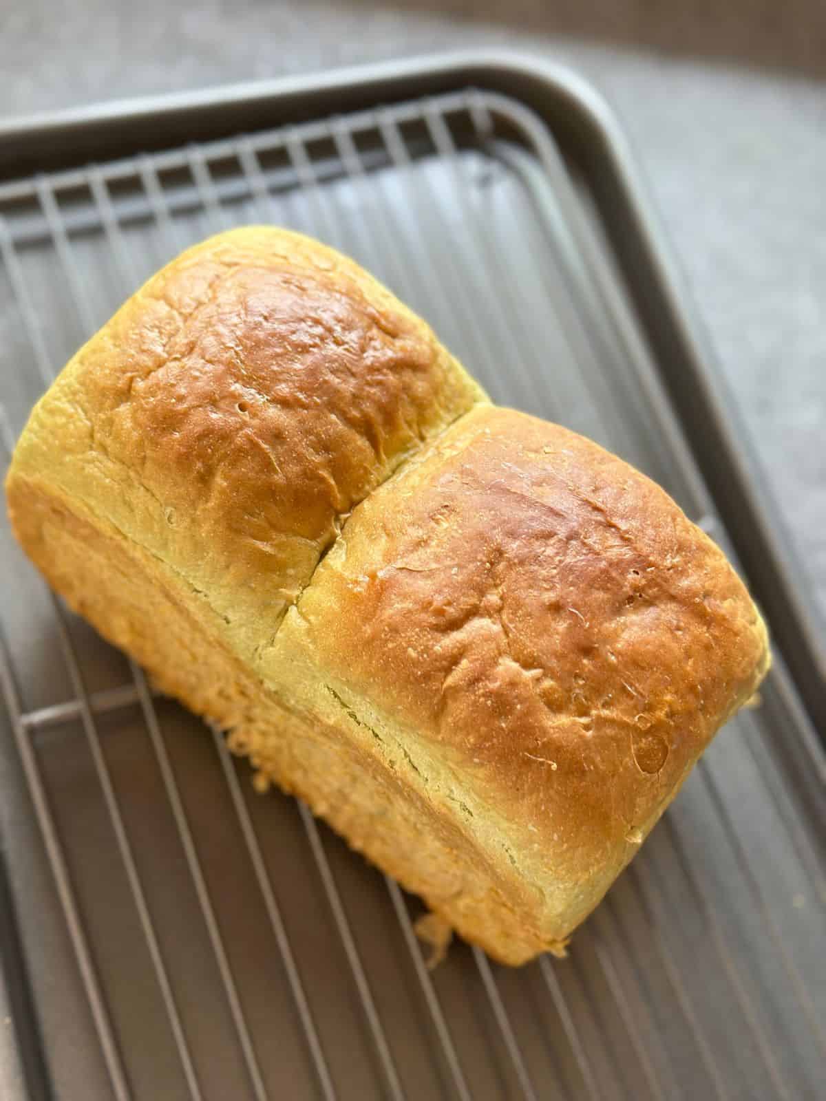 Pillow-Soft Pandan Bread (Vegan) Golden-brown pandan bread loaf with two domed tops cooling on a wire rack.