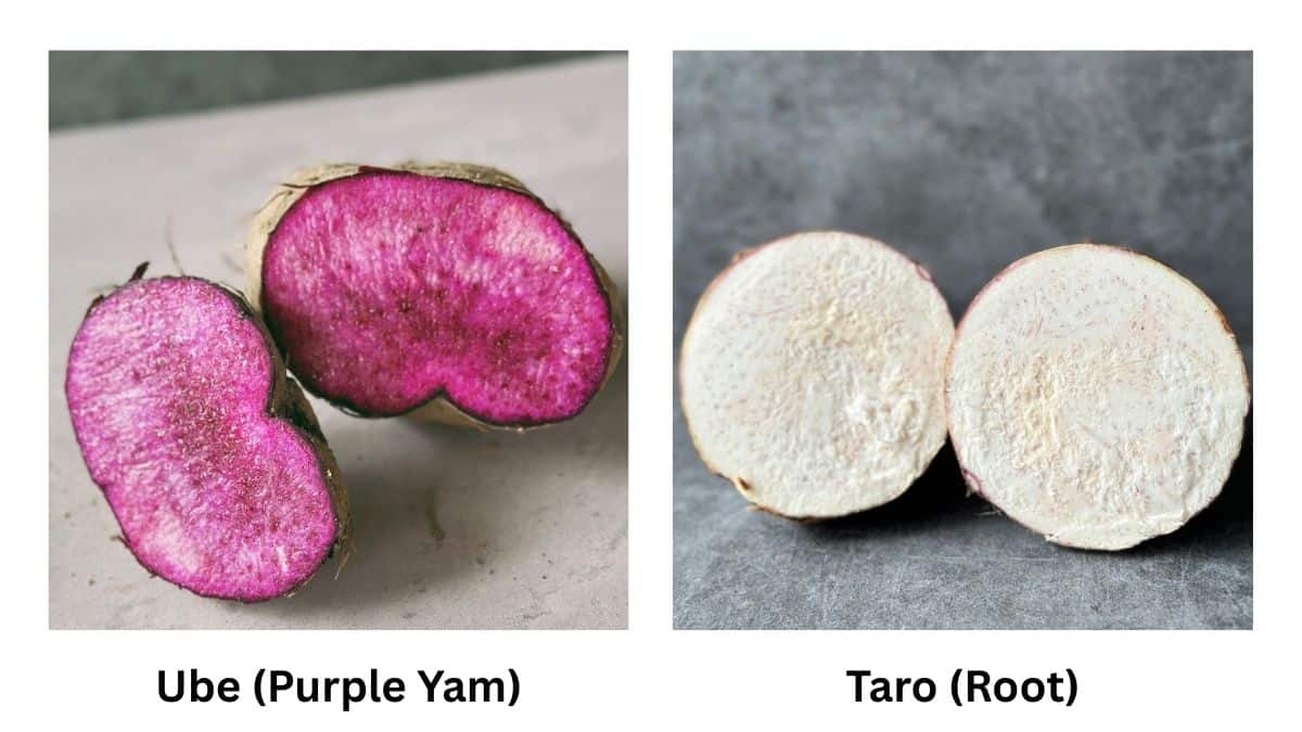 Ube vs. Taro