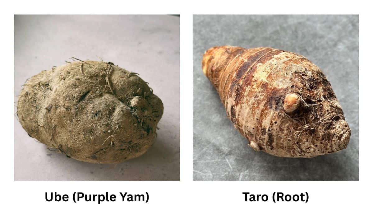 Ube vs. Taro