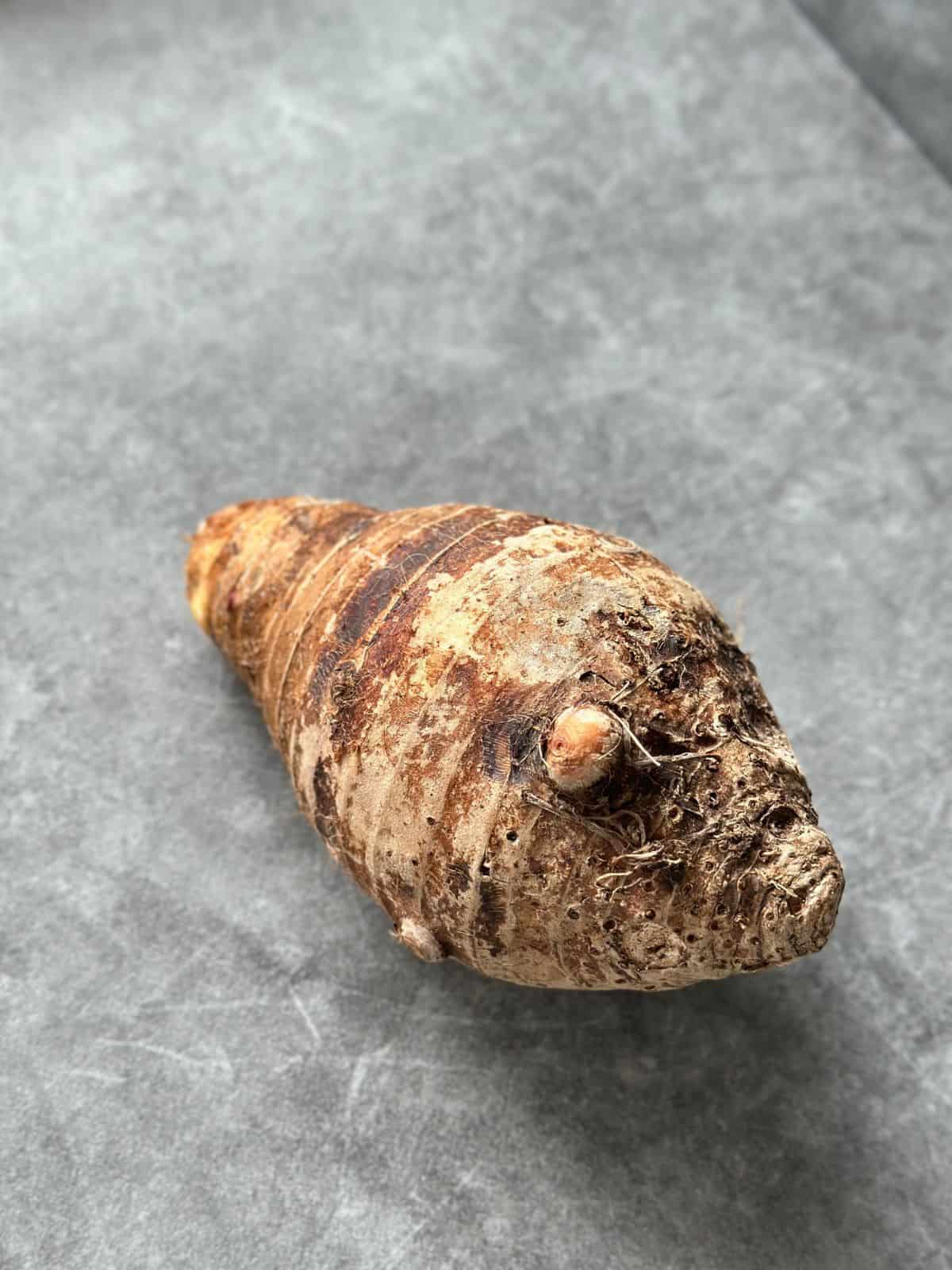 Whole taro root with rough brown skin and hairy fibers.