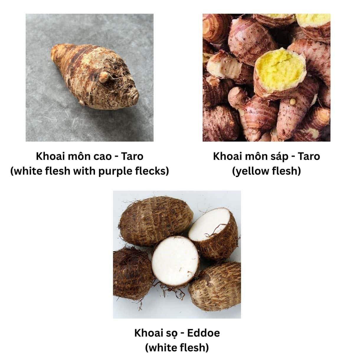 Varieties of Taro
