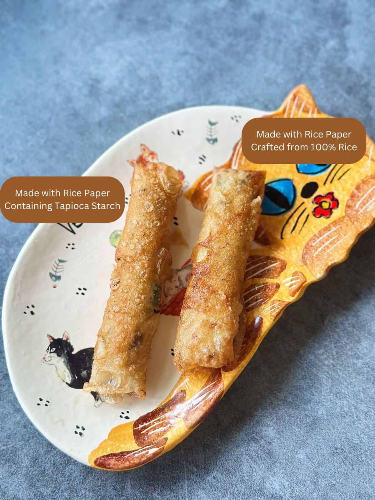 Frühlingsrollen aus Vietnam (Vietnamese Spring Rolls) Two crispy Vietnamese fried spring rolls (Nem Rán) served on a plate, showing their golden, crunchy rice paper wrappers.